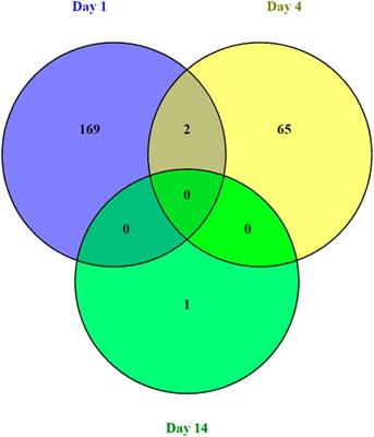 Gut transcriptome reveals differential gene expression and enriched pathways linked to immune activation in response to weaning in pigs